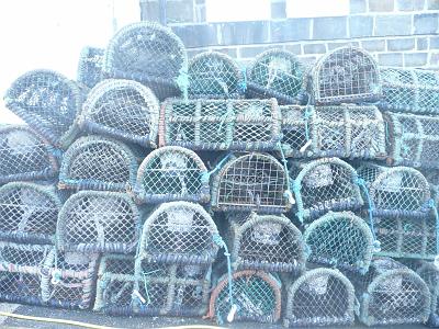 Lobster pots